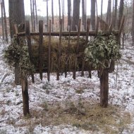 Охорона і захист лісів