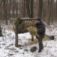 Охорона і захист лісів