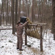 Охорона і захист лісів