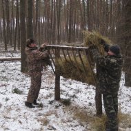 Охорона і захист лісів