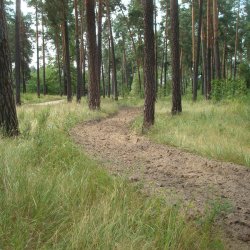 Протипожежні заходи